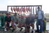 Red Snapper Charters